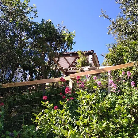 Le Breizh Holiday home *